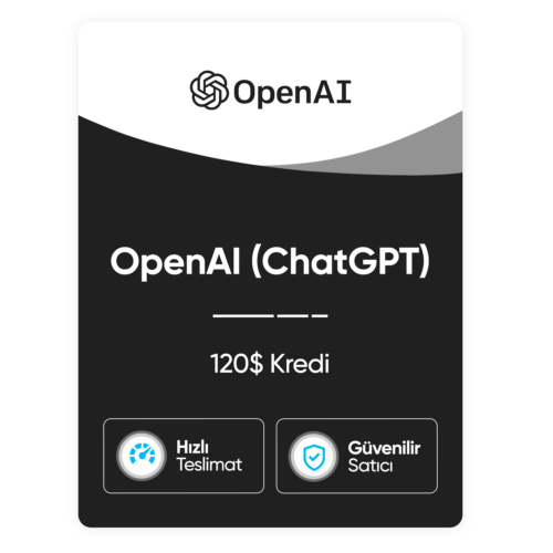 OpenAI (ChatGPT) – 120$ Kredili